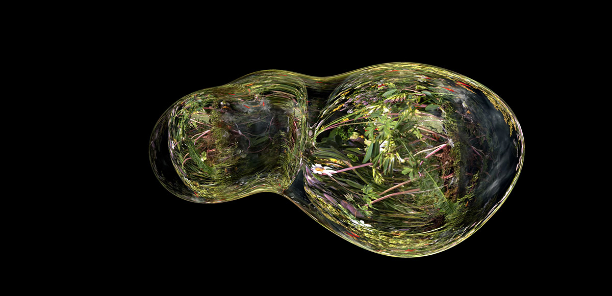 Van Veen & Mus, Sarracenia Obscura 2, Water Gems