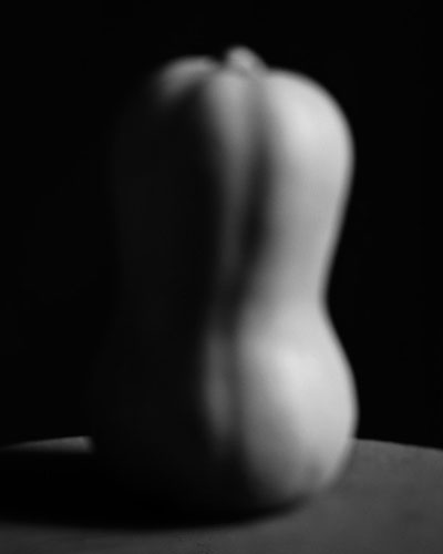 Rogier