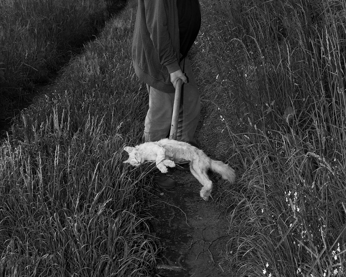 Bieke Depoorter/Magnum Photos en Gideon Jacobs