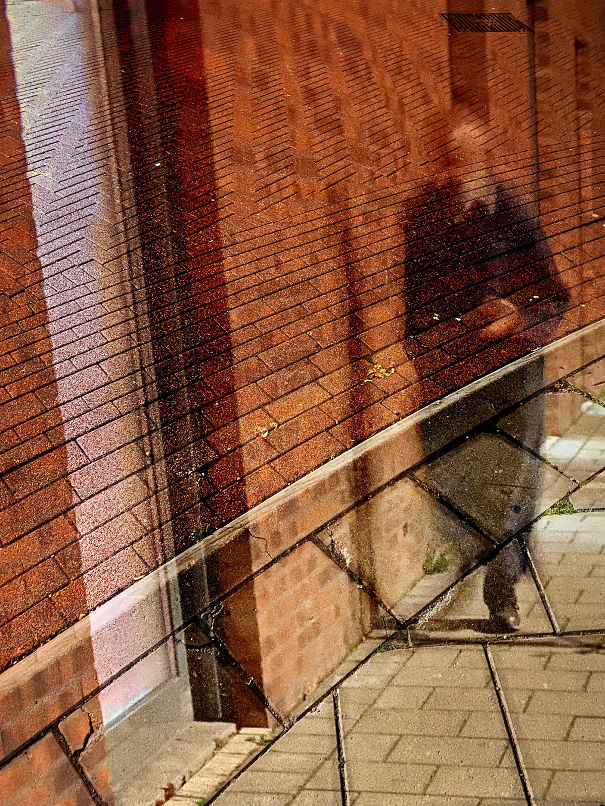 Lelijkheid bestaat niet!