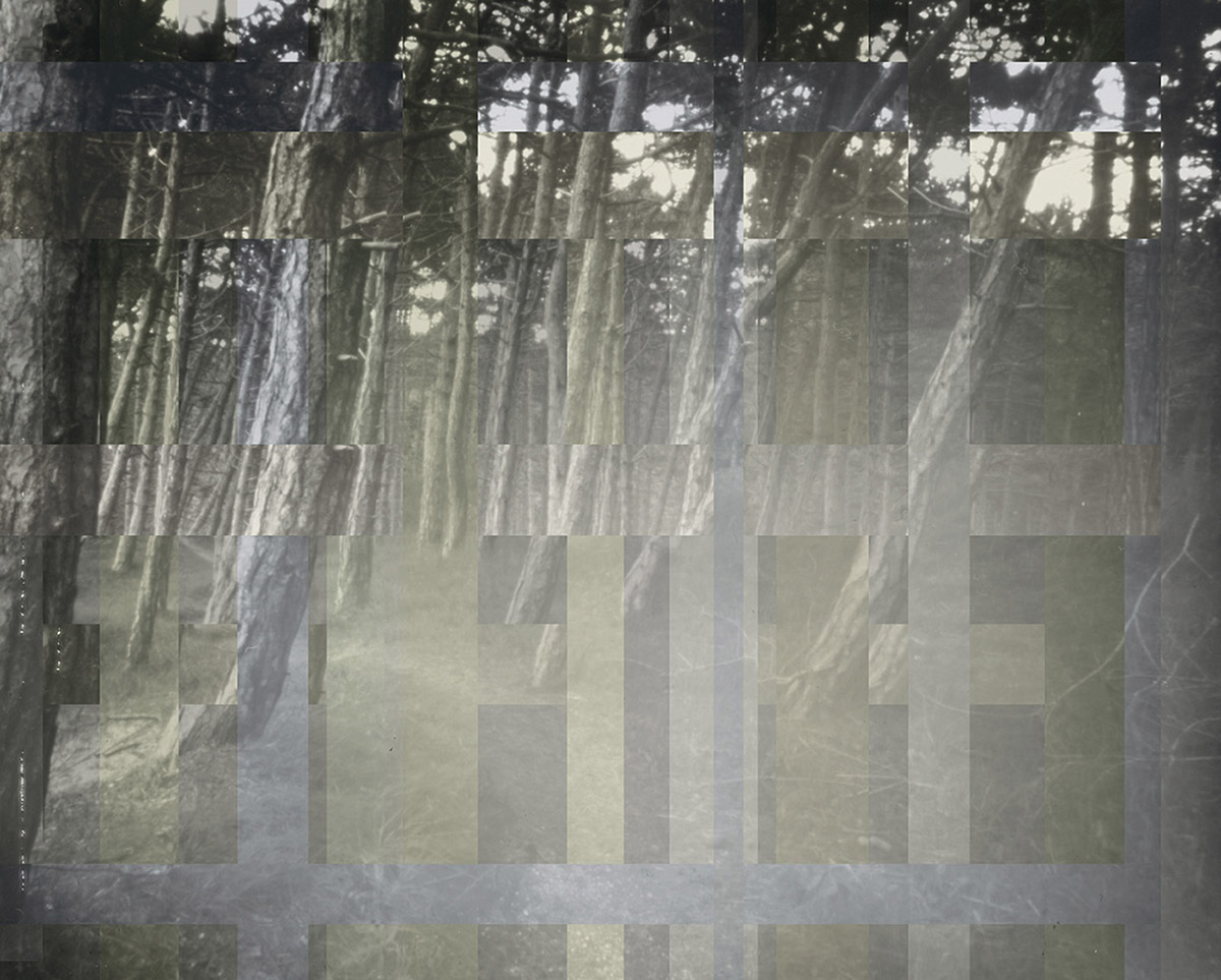 Baukje Venema,  Woods