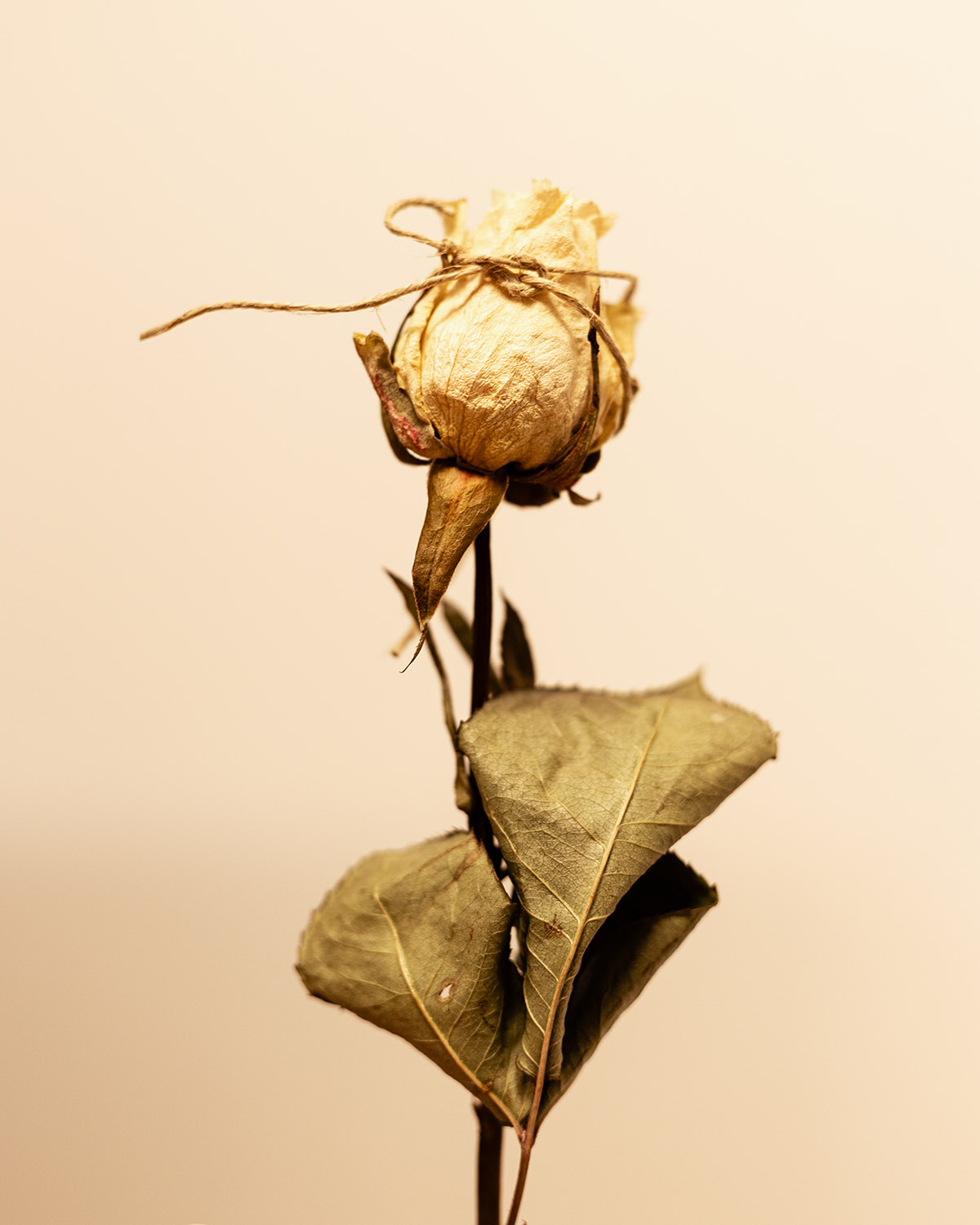 And the tides will change