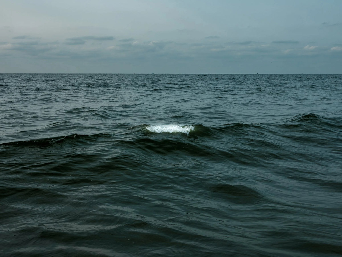 Dineke Versluis, Swell 2, 2020