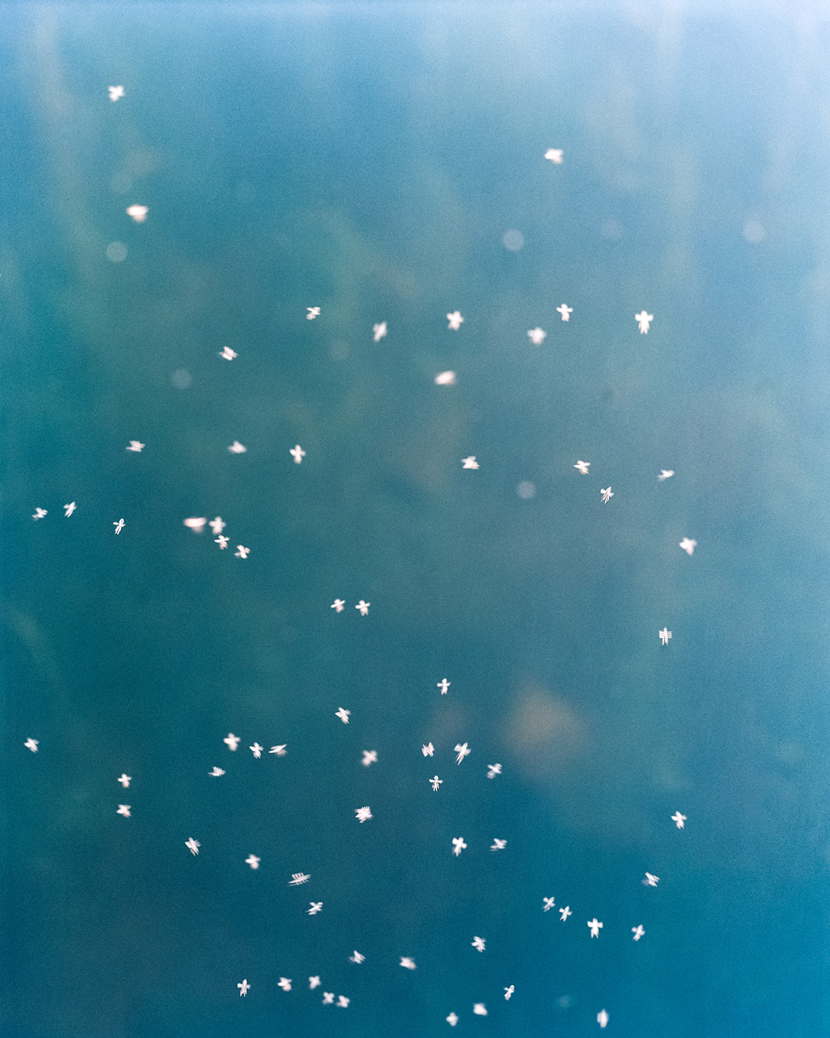 Marlike Marks, While I Am Here No. 28.04.013, 2025