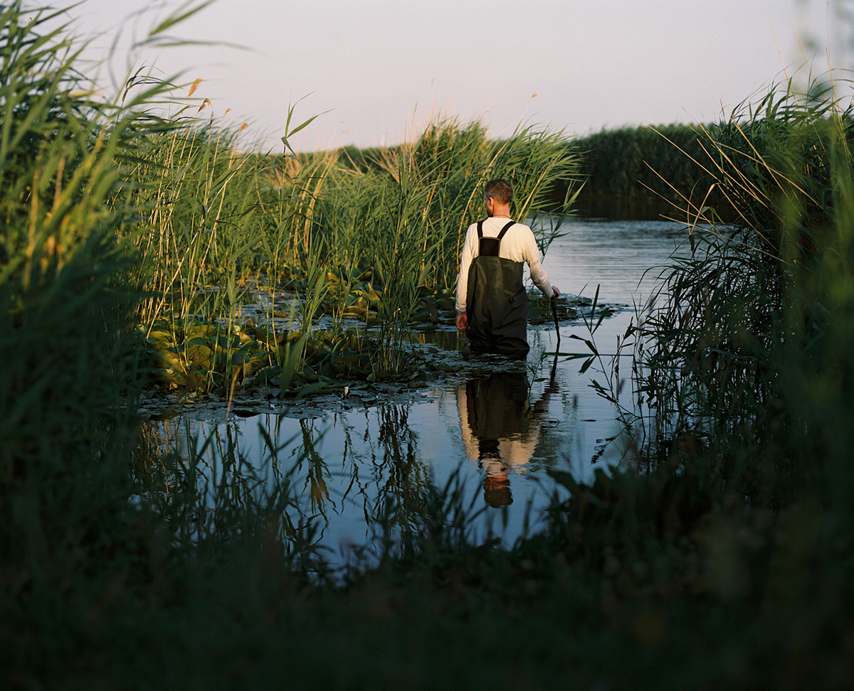 Sanne Romeijn, Those Moments in Between, 2025