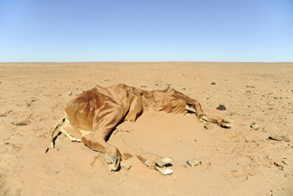 Hot - life in the Australian outback