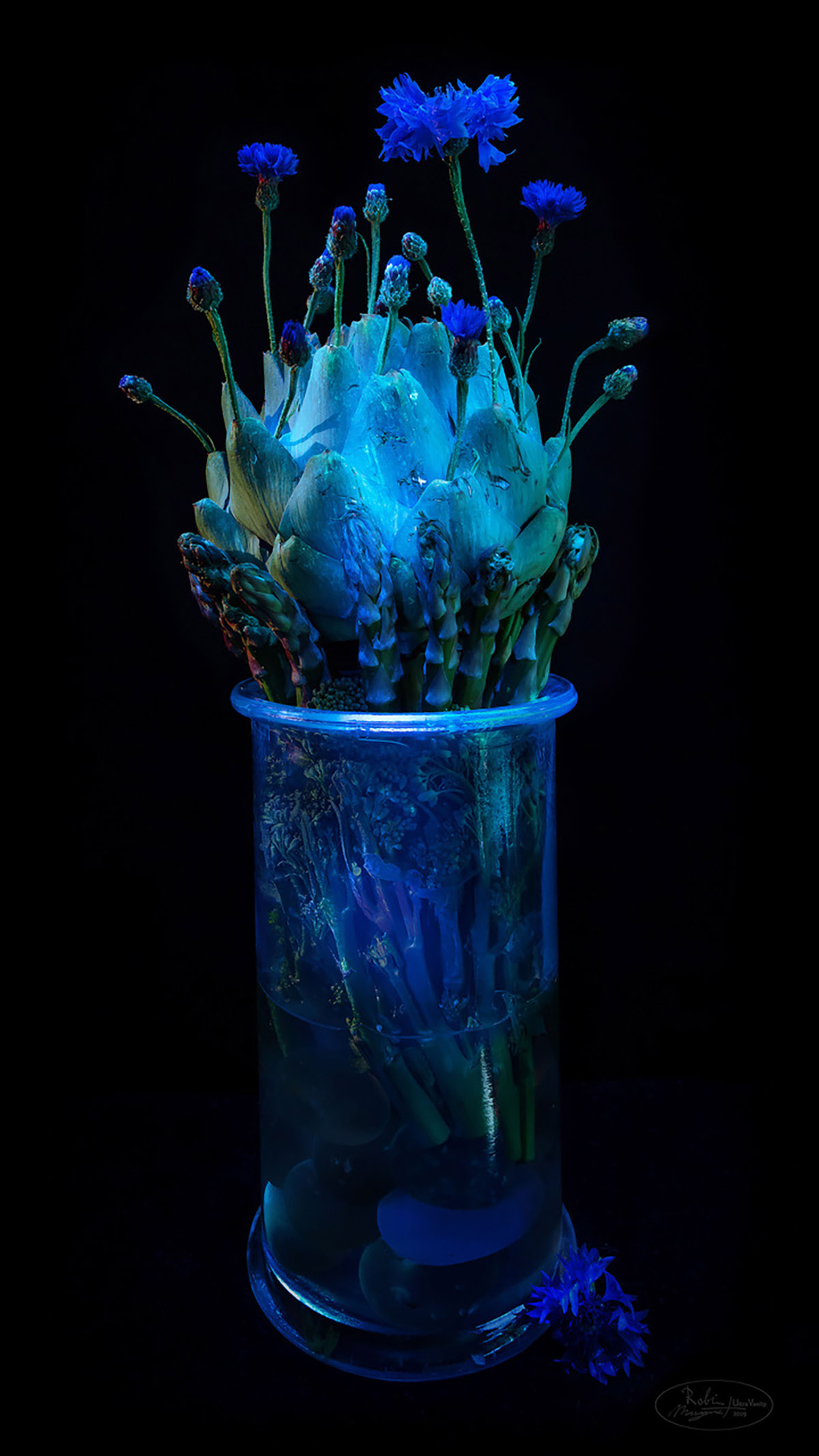 Robin Noorda en Margot van de Stolpe, Artichoke