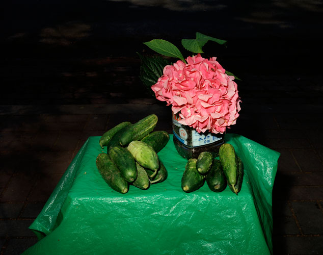 Lia Darjes, Stillleben mit Hortensie und Gurken, from the series Tempora Morte, 2016, Robert Morat Galerie