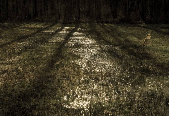 Rens Hubers, Nuenens Broek