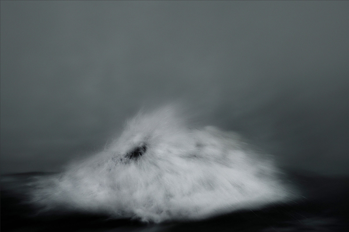 Stephan Vanfleteren, Transcripts of a Sea #042512