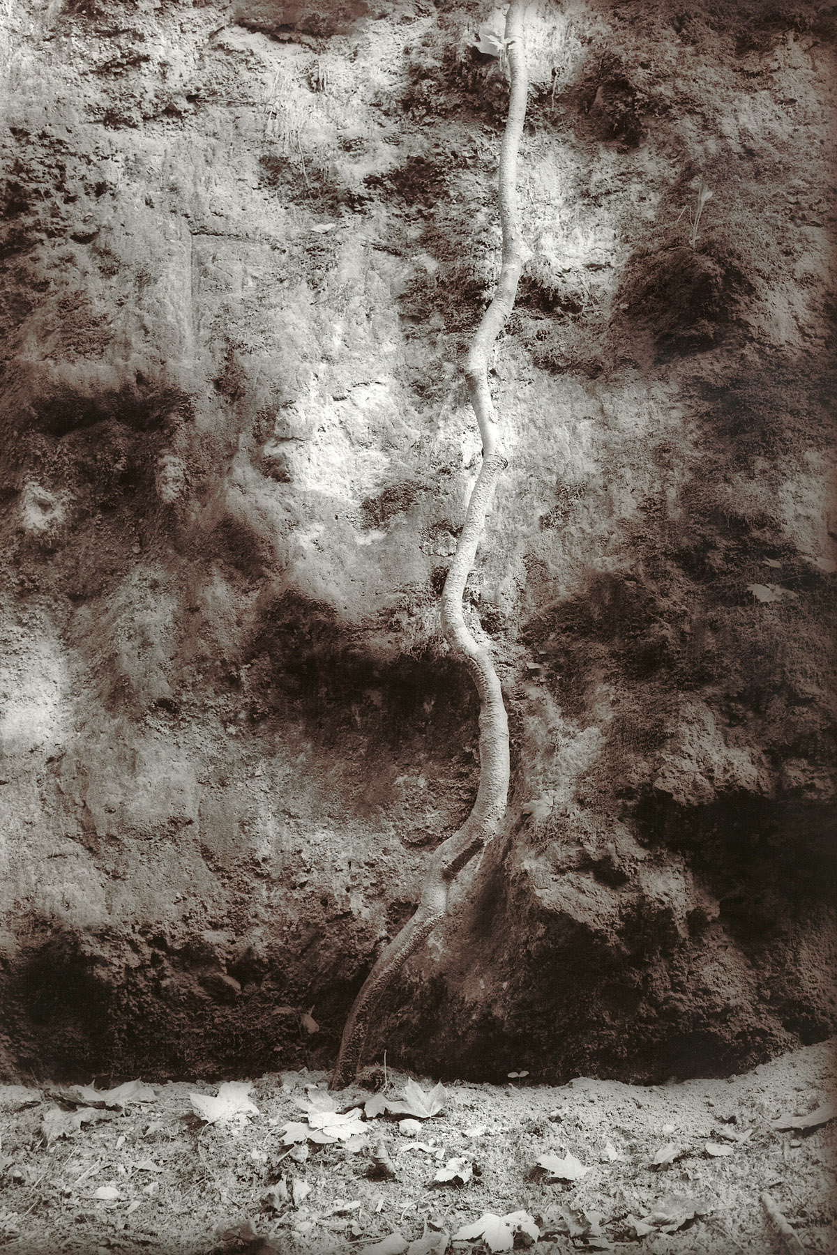 Guido Paulussen, Verloren in de Verloren Vallei van de Sint Pietersberg