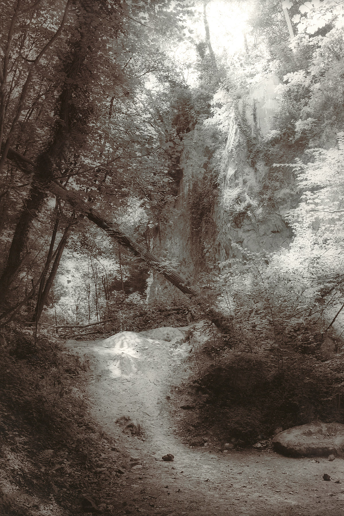 Guido Paulussen, Verloren in de Verloren Vallei van de Sint Pietersberg