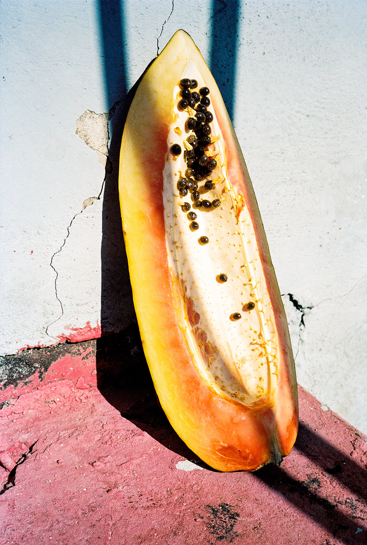 Vincent Delbrouck, Papaya, from the series Champ&uacute;, 2020