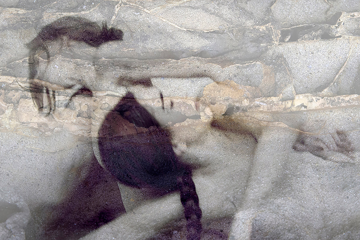 Sabine Heetebrij, In Sickness and in Health