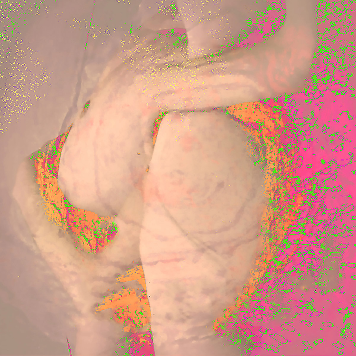 Sabine Heetebrij en Linda Grool, Virus & Host