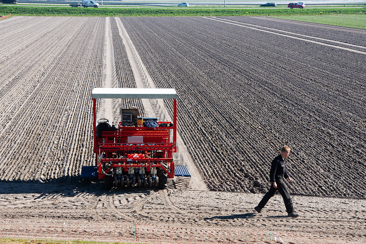 De Westfriese Omringdijk