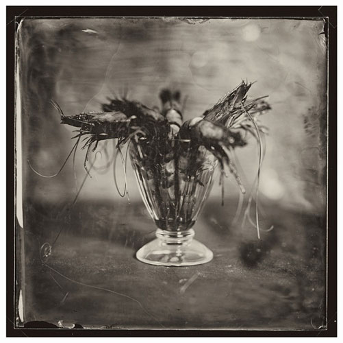 Peter Eleveld, Crustaceans