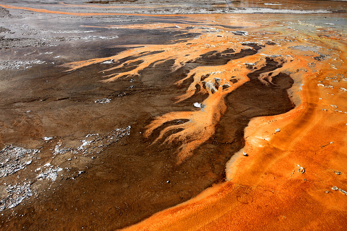 Yellowstone: de kunst van moeder aarde