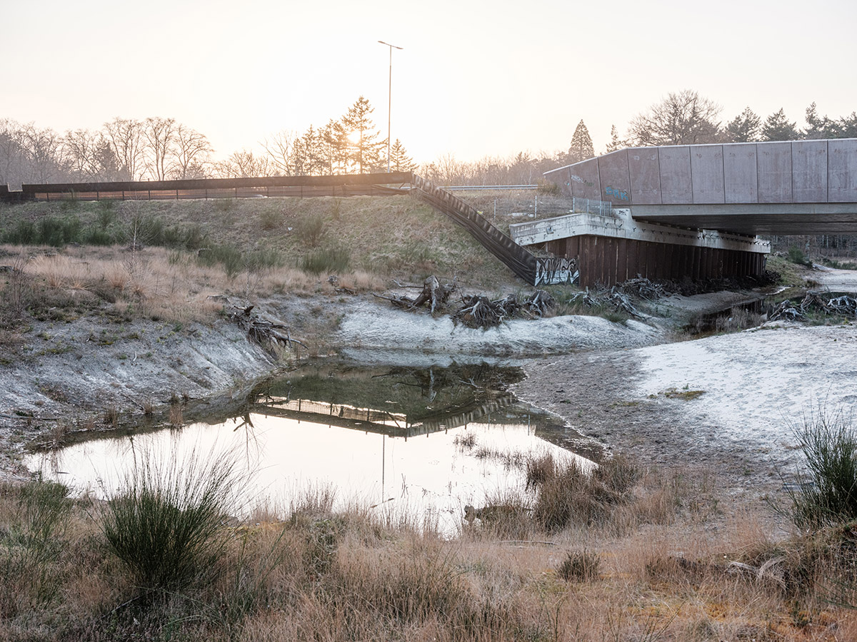 Alex Kemman, Het verborgen leven der dieren in Hilversum